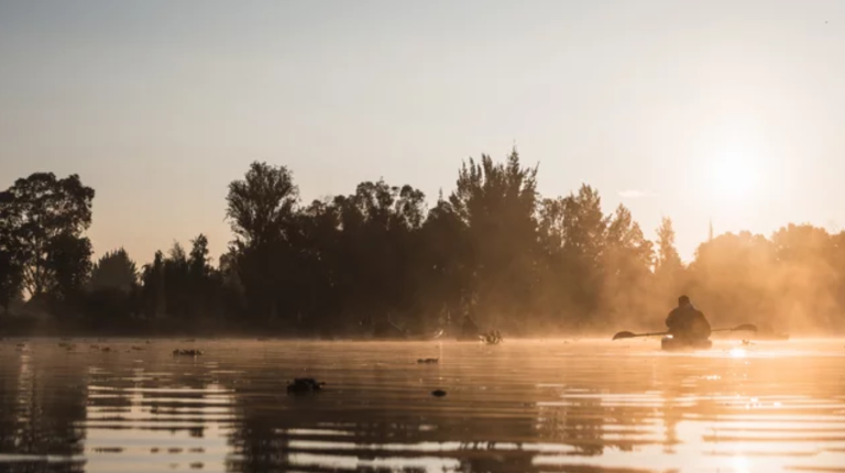 Xochimilco al amanecer