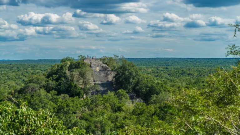 Calakmul: la ciudad maya