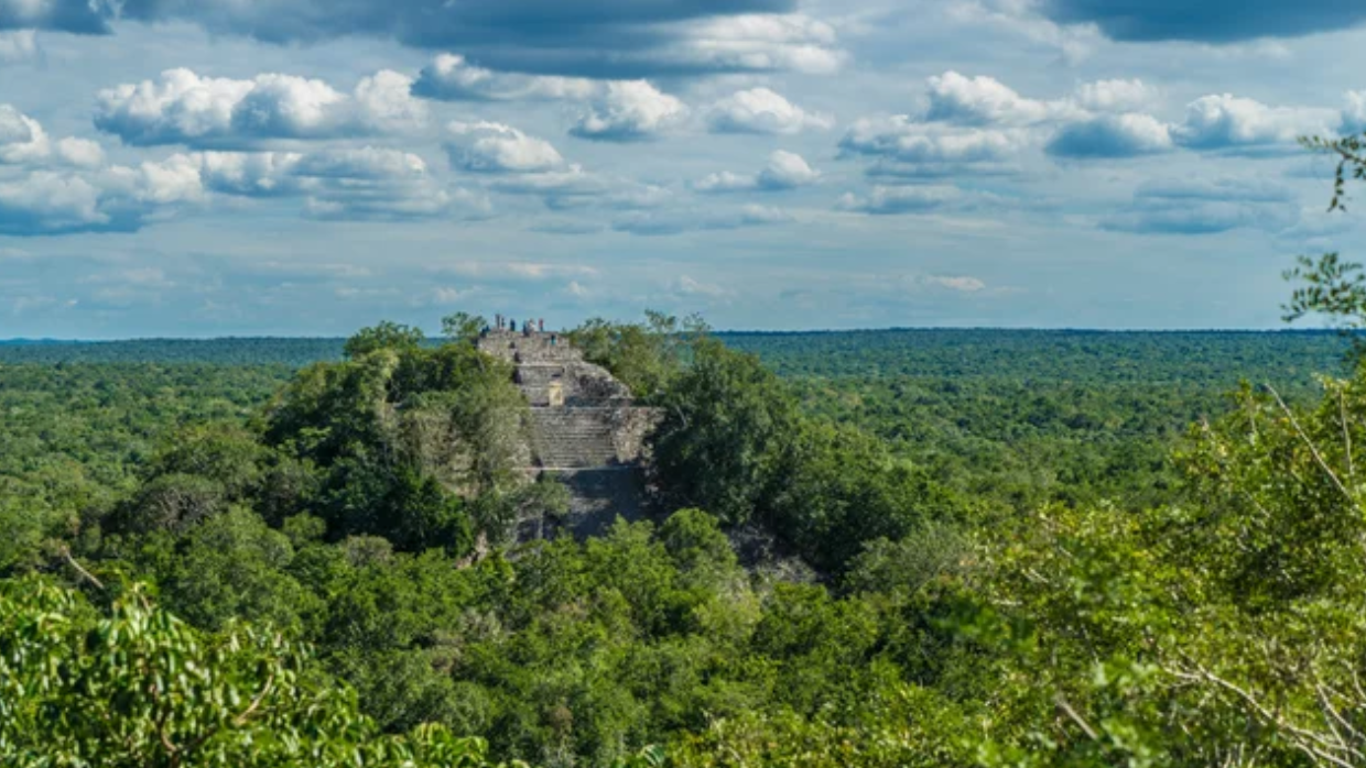 Calakmul: la ciudad maya